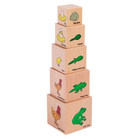 THE FRECKLED FROG Lifecycle Wooden Blocks, 5 Pieces Per Set FF466